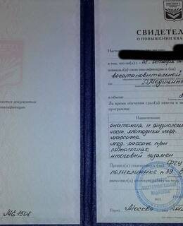 Лиза — фото 9